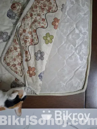 Luxurious leather Bed of 